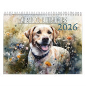 2026 Labrador Retriever Kalender (Titelbild)