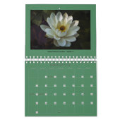 2026 Landschaftsfotokalender Kalender (Feb 2027)