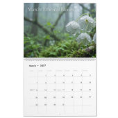 2026 Leuchtende Kosmische Harmonie Wandkalender (Mär 2027)