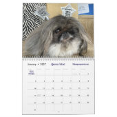 2026 Liz E.'s Pekinger Kalender (Jan 2027)
