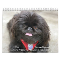 2026 Liz E.'s Pekinger Kalender