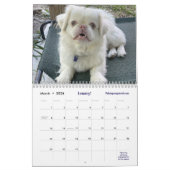 2026 Liz E.'s Pekingese Calendar Kalender (Mär 2026)