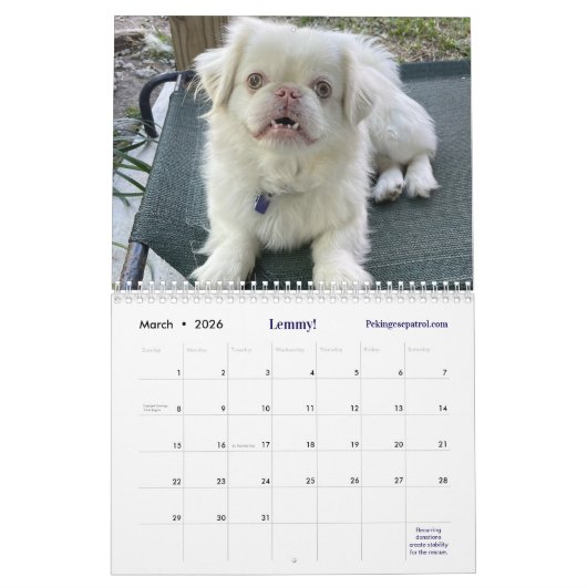 2026 Liz E.'s Pekingese Calendar Kalender (Mär 2026)