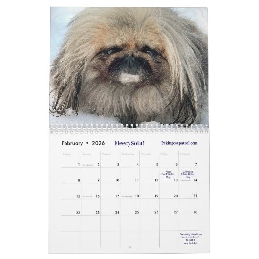2026 Liz E.'s Pekingese Calendar Kalender (Feb 2026)