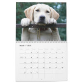 2026 Lovable Labrador Retriever Dog Kalender (Mär 2026)