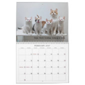 2026 Love & Hisses Calendar - ALL FOSTERS Kalender (Feb 2027)