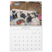 2026 Love & Hisses Calendar - ALL FOSTERS Kalender (Jan 2027)