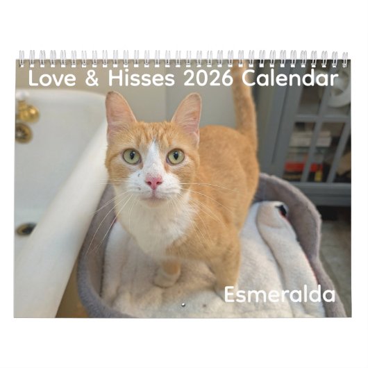 2026 Love & Hisses Calendar - Esmeralda Kalender (Titelbild)