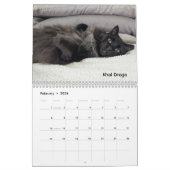 2026 Love & Hisses Calendar - Permanent Residents Kalender (Feb 2026)