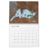 2026 Love & Hisses Calendar - Permanent Residents Kalender (Jan 2026)