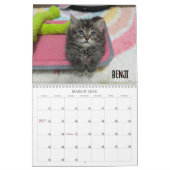 2026 Love & Hisses Calendar - the Britty Bunch Kalender (Mär 2026)