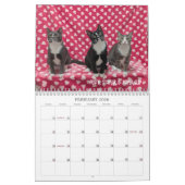 2026 Love & Hisses Calendar - the Foundlings Kalender (Feb 2026)