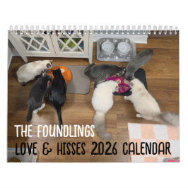 2026 Love & Hisses Calendar - the Foundlings Kalender