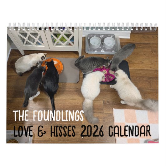 2026 Love & Hisses Calendar - the Foundlings Kalender (Titelbild)