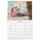 2026 Love & Hisses Calendar - the Foundlings Kalender (Mär 2026)