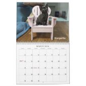 2026 Love & Hisses Calendar - the pink Adirondack Kalender (Mär 2026)