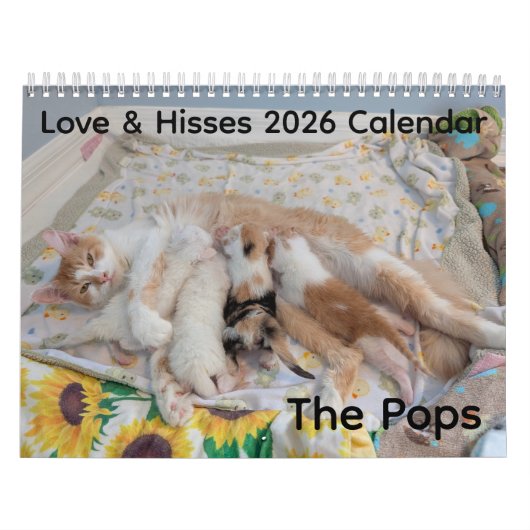 2026 Love & Hisses Calendar - the Pops Kalender (Titelbild)