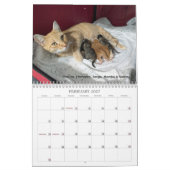 2026 Love & Hisses Calendar - The Tiny Dancers Kalender (Feb 2027)