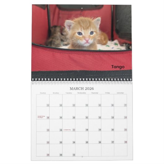 2026 Love & Hisses Calendar - The Tiny Dancers Kalender (Mär 2026)