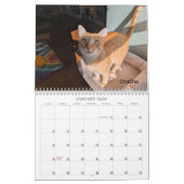 2026 Love & Hisses Calendar - The Tiny Dancers Kalender (Jan 2026)