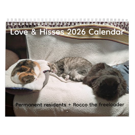 2026 Love & Hisses Kalender - Dauerhafte Bewohner (Titelbild)