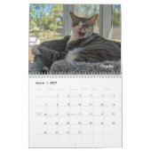 2026 Love & Hisses Kalender - Dauerhafte Bewohner (Mär 2027)