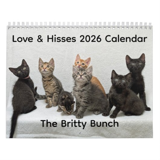 2026 Love & Hisses Kalender - die Britty Bunch (Titelbild)