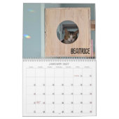 2026 Love & Hisses Kalender - die Britty Bunch (Jan 2027)