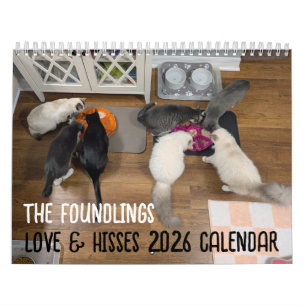 2026 Love & Hisses Kalender - die Findlinge