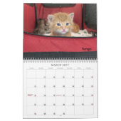 2026 Love & Hisses Kalender - Die kleinen Tänzer (Mär 2027)
