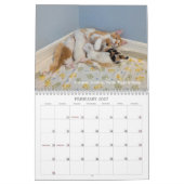 2026 Love & Hisses Kalender - die Pops (Feb 2027)
