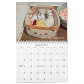 2026 Love & Hisses Kalender - die Pops (Mär 2027)