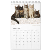 2026 Maine Coon Cat Calendar Kalender (Mär 2026)