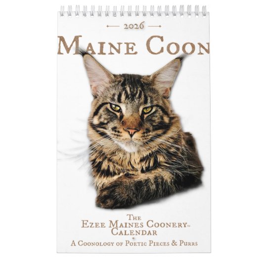 2026 Maine Coon Cat Calendar Kalender (Titelbild)