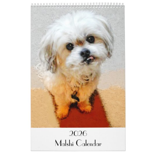 2026 Malshi Design Your OwnCalend ar Kalender (Titelbild)