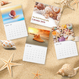 2026 Meeresmuschel Küstenmuschel-Fotografie Kalender