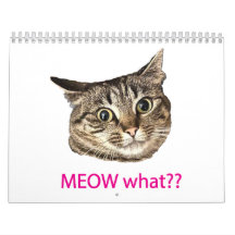 2026 MEOW was?? Kalender