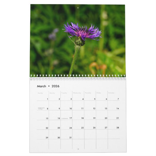 2026 Michigan Natur & Landschaft Kalender (Mär 2026)