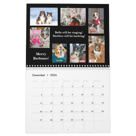 2026 Minnesota Sheltie Rescue Calendar Kalender (Dez 2026)