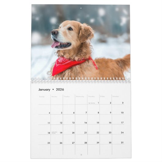 2026 Moderne, einfache Personalisierte Fotos Kalender (Jan 2026)