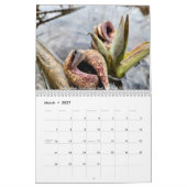 2026 (Mostly) Nature Calendar Kalender (Mär 2027)