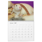 2026 Nagetier-Leser-Kalender H Kalender (Jan 2027)