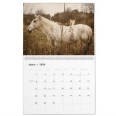 2026 Nature Photography & Art Calendar Kalender (Mär 2026)