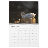 2026 Naturfotokalender Kalender (Feb 2027)