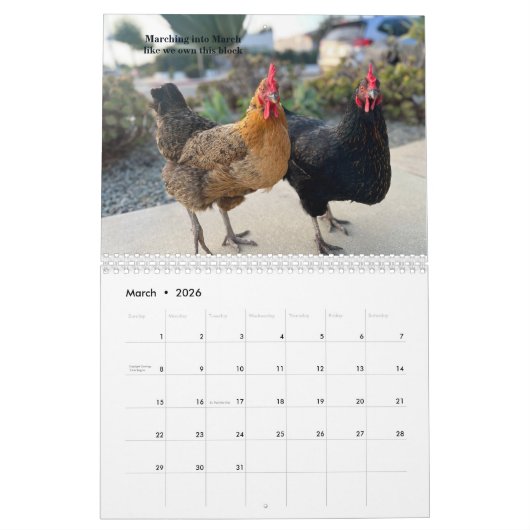 2026 Neighborhood Chicken Calendar Kalender (Mär 2026)