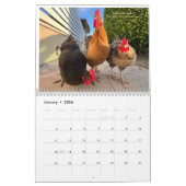 2026 Neighborhood Chicken Calendar Kalender (Jan 2026)