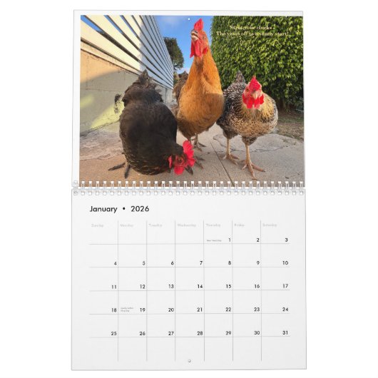 2026 Neighborhood Chicken Calendar Kalender (Jan 2026)