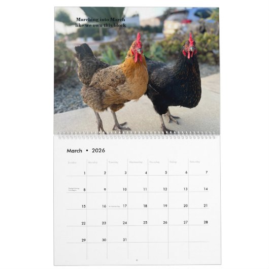 2026 Neighborhood Chicken Calendar - Large Kalender (Mär 2026)