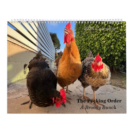 2026 Neighborhood Chicken Calendar - Large Kalender (Titelbild)