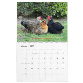 2026 Neighborhood Chicken Kalender - Großformat (Feb 2027)